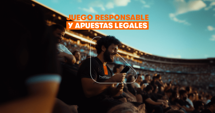Juego responsable