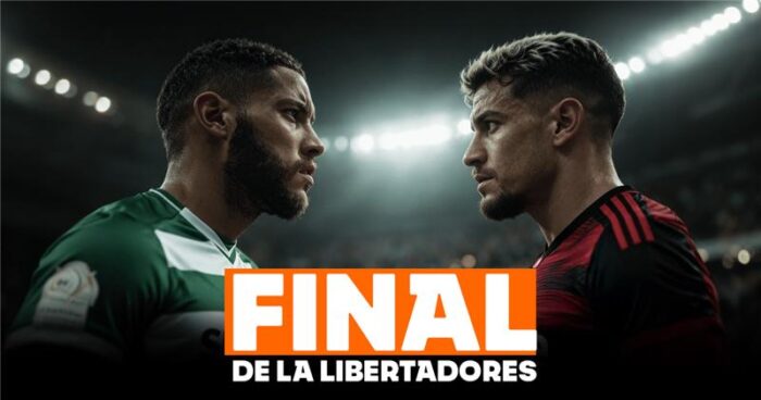 Palmeiras vs. Flamengo Final Copa Libertadores