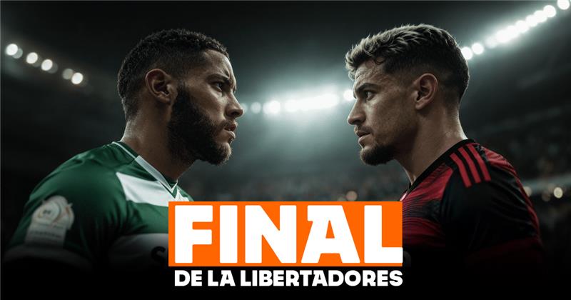 Palmeiras vs. Flamengo Final Copa Libertadores