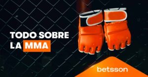 artes marciales mixtas